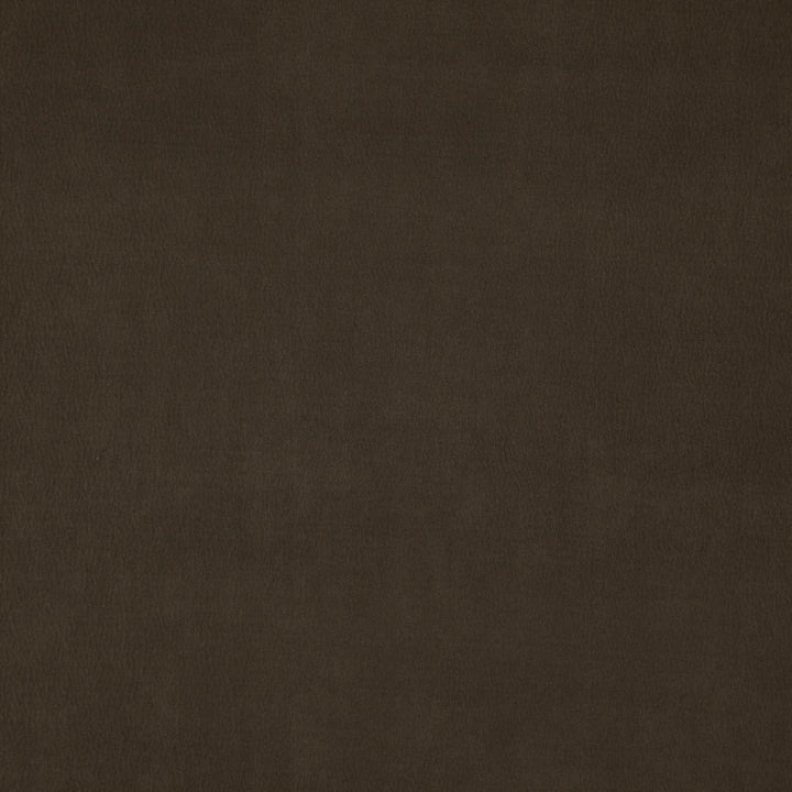 Wisdom 38J7531 by JF Designer Fabric Tannery Basics II Book 100% Polyester China 30000 Horizontal: and Vertical: 55 - Swanky Fabrics -