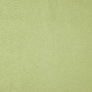 Wisdom 73J7531 By JF Designer Fabric