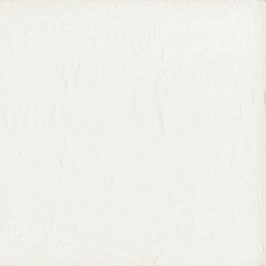 Wistful Coconut by Norbar Designer Fabric SHEER IMAGE 100% POLYESTER TURKEY 114 - Swanky Fabrics -