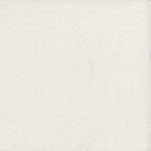 Wistful Vanilla by Norbar Designer Fabric 100% POLYESTER TURKEY 114 - Swanky Fabrics -