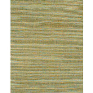 Bermuda Celadon WIW2519.WT.0 By Winfield Thybony Designer Wallcovering