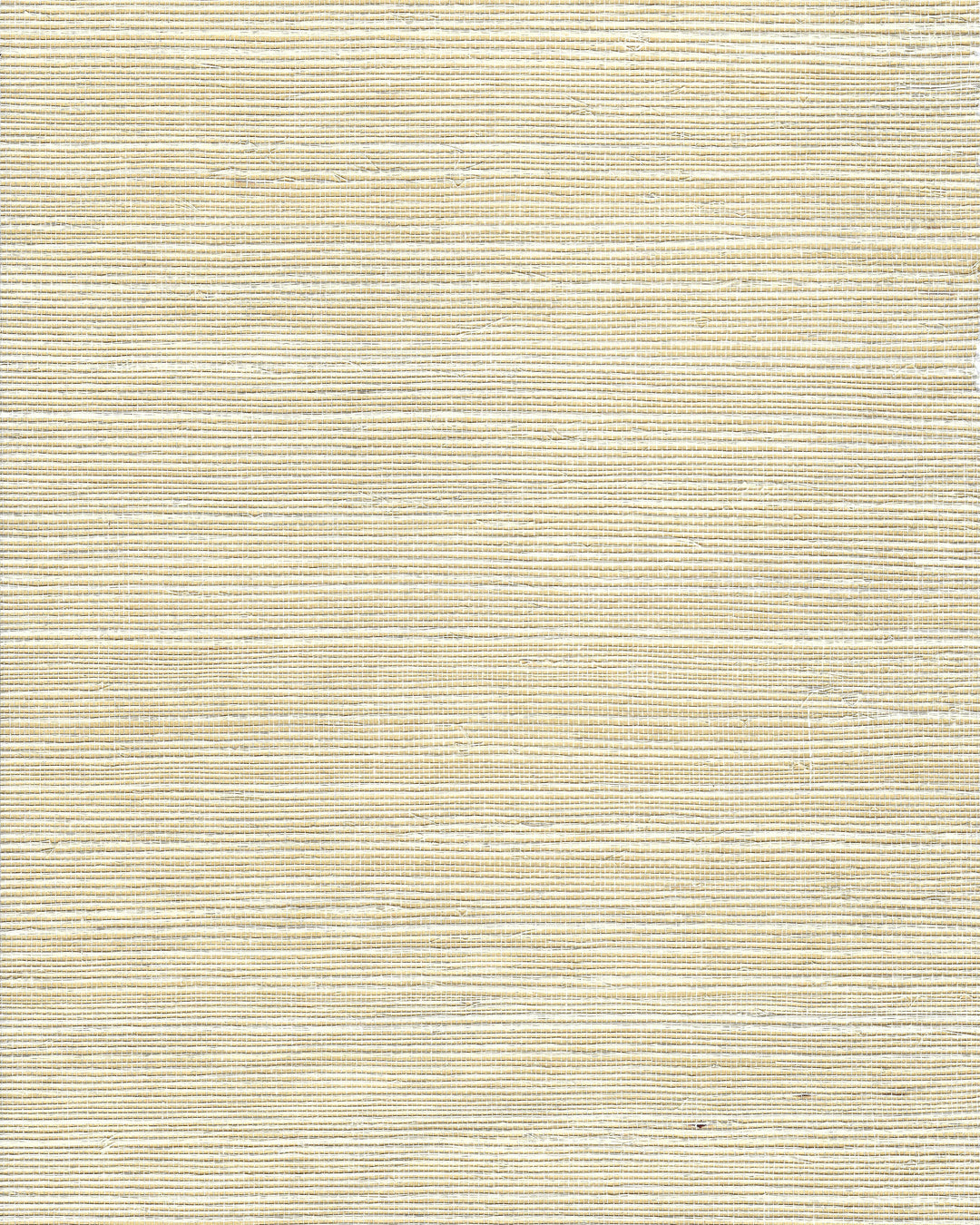 Chiyo Sisal - Beige WNR2061.WT.0 by Winfield Thybony Designer Wallcovering