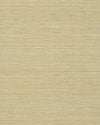 Chiyo Sisal - Sand WNR2063.WT.0 by Winfield Thybony Designer Wallcovering
