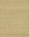 Chiyo Sisal - Ochre WNR2065.WT.0 by Winfield Thybony Designer Wallcovering