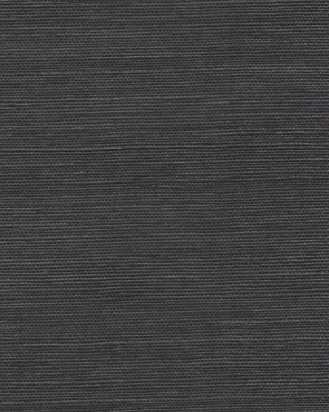 Chiyo Sisal - Black WNR2092.WT.0 by Winfield Thybony Designer Wallcovering