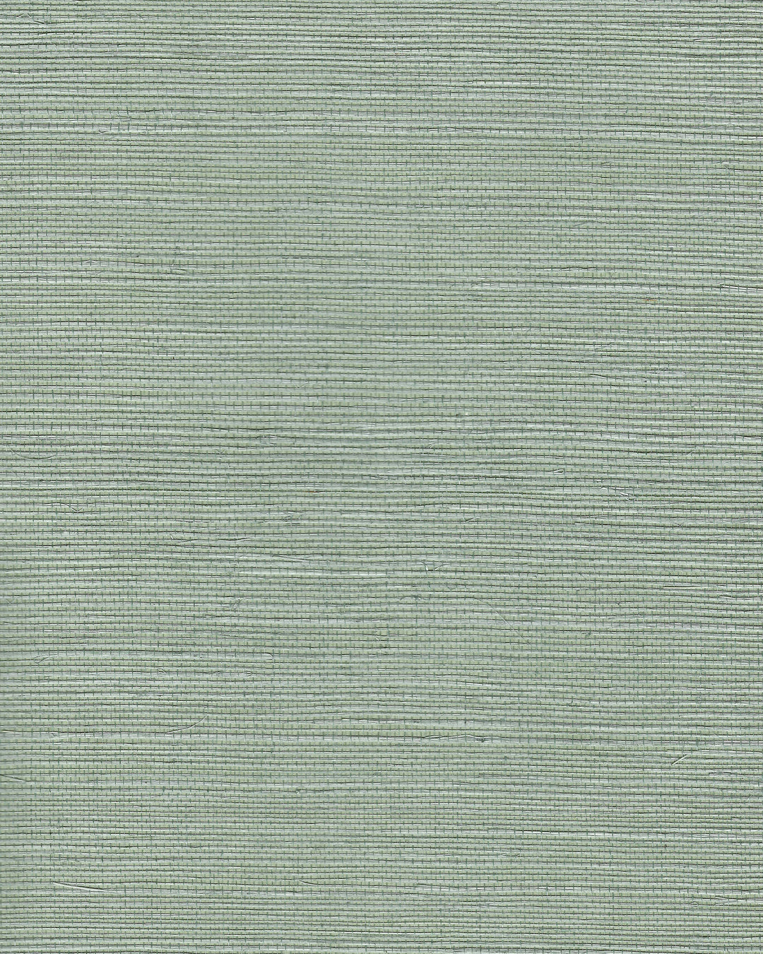 Chiyo Sisal - Jade WNR2106.WT.0 by Winfield Thybony Designer Wallcovering