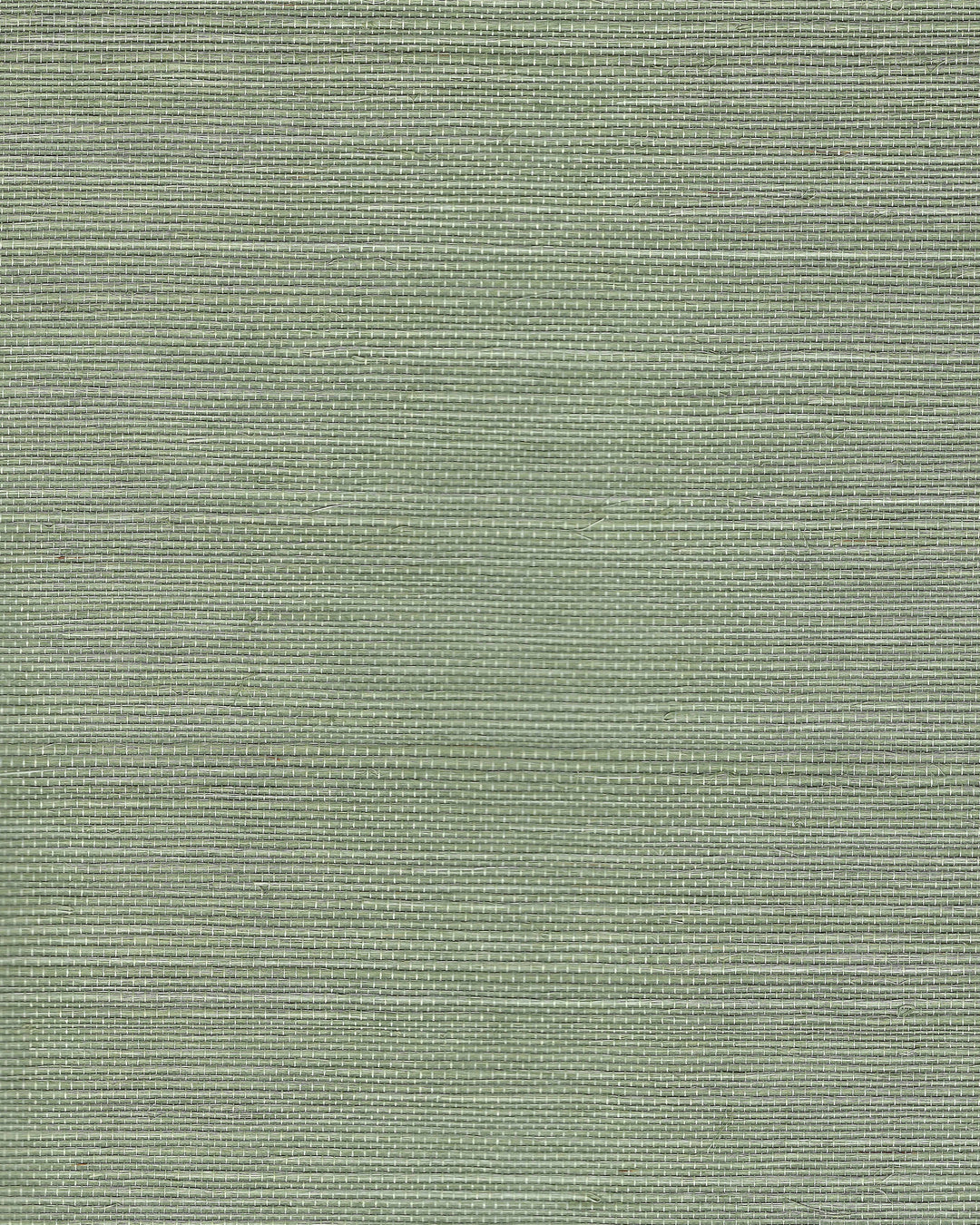 Chiyo Sisal - Sprig WNR2107.WT.0 by Winfield Thybony Designer Wallcovering