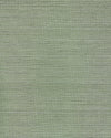Chiyo Sisal - Sprig WNR2107.WT.0 by Winfield Thybony Designer Wallcovering