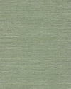 Chiyo Sisal - Sage WNR2110.WT.0 by Winfield Thybony Designer Wallcovering