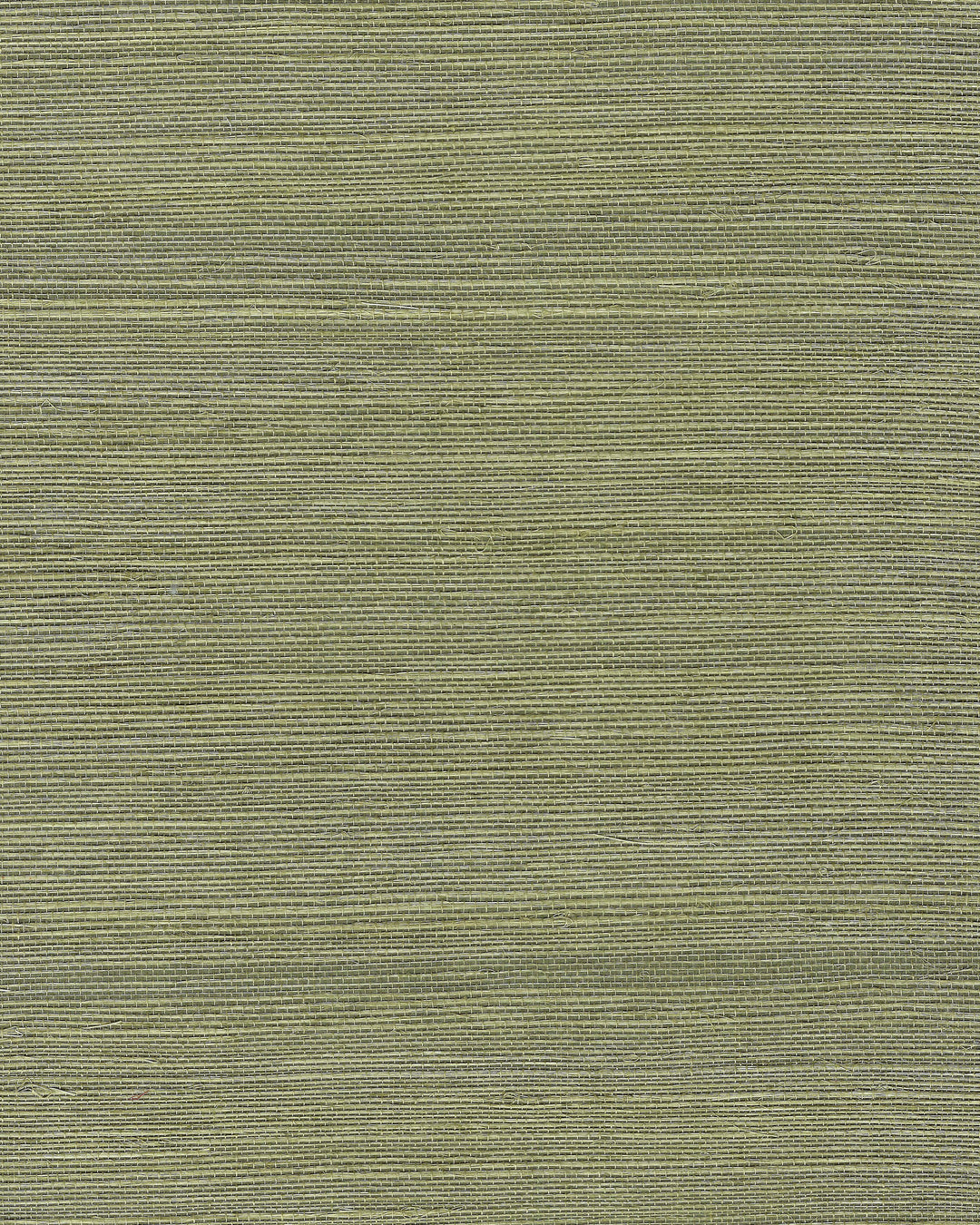 Chiyo Sisal - Moss WNR2112.WT.0 by Winfield Thybony Designer Wallcovering