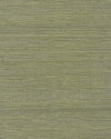 Chiyo Sisal - Moss WNR2112.WT.0 by Winfield Thybony Designer Wallcovering