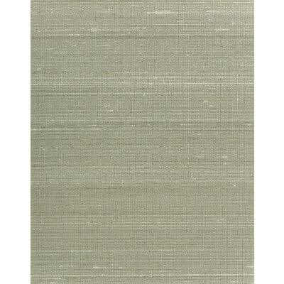 Winfield Thybony - Wallcovering - WNS5556.WT.0 - Wallcovering - SILK - 80%;POLYESTER - 20% - Netherlands </p><p>Repeat: H: , V: 27.5 21 - My Fabric Connection -