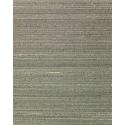 Winfield Thybony - Wallcovering - WNS5562.WT.0 - Wallcovering - SILK - 80%;POLYESTER - 20% - Netherlands </p><p>Repeat: H: , V: 27.5 21 - My Fabric Connection -