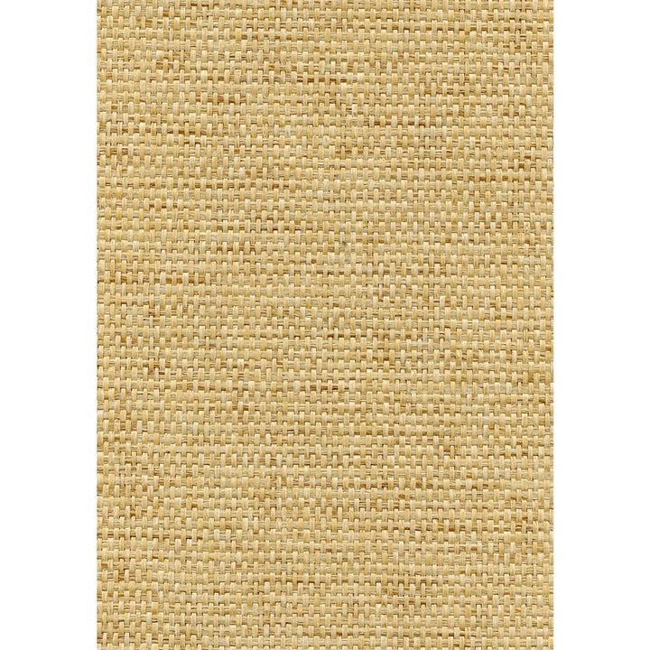 Rosette Weave Blond by Winfield Thybony Wallcovering Winfield Thybony Wallcovering Rosette Weave BlondWallcovering WINFIELD THYBONY PAPERWEAVE - 100% United States </p><p>Repeat: H: 0, V: 0 36 - Fabric Carolina -
