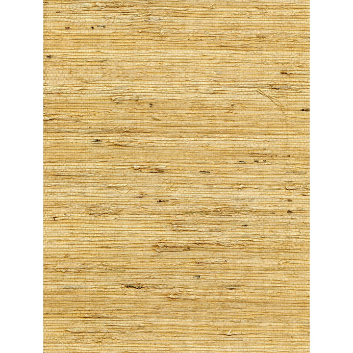 Concerto Saffron by Winfield Thybony Wallcovering Winfield Thybony Wallcovering Concerto SaffronWallcovering WINFIELD THYBONY ARROWROOT - 100% United States </p><p>Repeat: H: 0, V: 0 36 - Fabric Carolina -