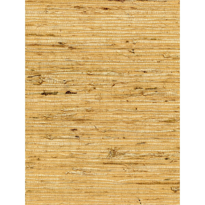 Concerto Ochre by Winfield Thybony Wallcovering Winfield Thybony Wallcovering Concerto OchreWallcovering WINFIELD THYBONY ARROWROOT - 100% United States </p><p>Repeat: H: 0, V: 0 36 - Fabric Carolina -
