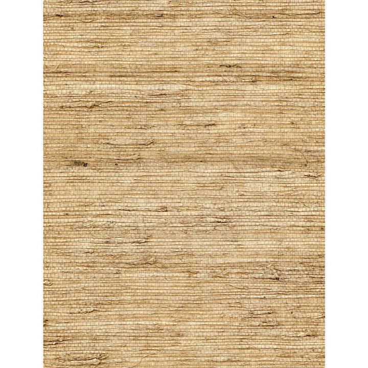 Concerto Latte by Winfield Thybony Designer Wallcovering WINFIELD THYBONY ARROWROOT - 100% United States - Horizontal: 0 and Vertical: 0 36 - Swanky Fabrics -