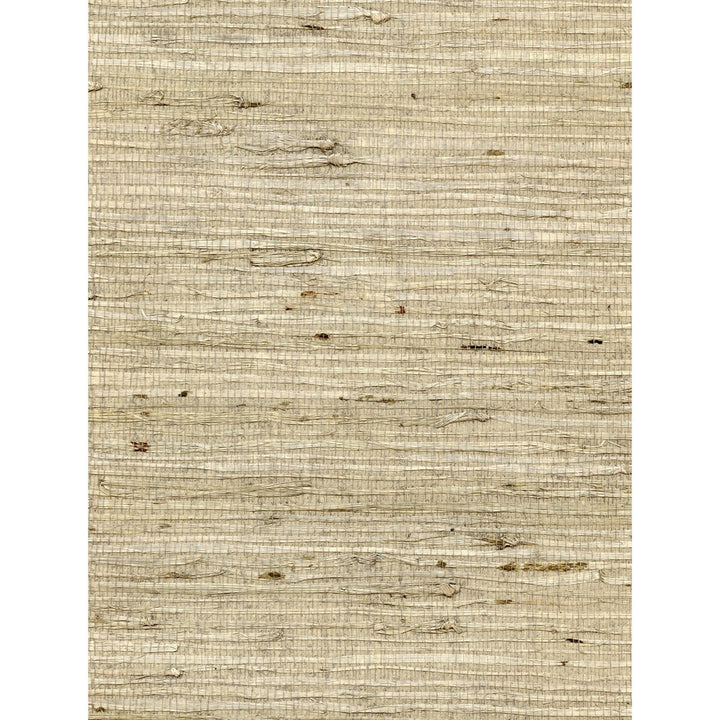 Concerto Fawn by Winfield Thybony Designer Wallcovering WINFIELD THYBONY ARROWROOT - 100% United States - Horizontal: 0 and Vertical: 0 36 - Swanky Fabrics -