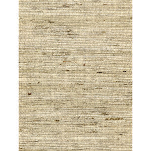Concerto Fawn by Winfield Thybony Designer Wallcovering