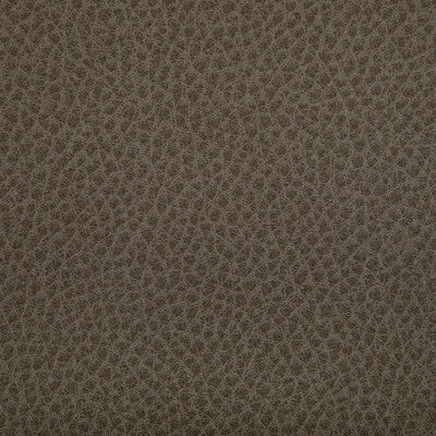 Kravet Contract - Upholstery - WOOLF.106.0 - Upholstery - POLYURETHANE - 95%;SILICONE - 5% - Taiwan </p><p>Repeat: H: , V: 27.5 21 - My Fabric Connection -