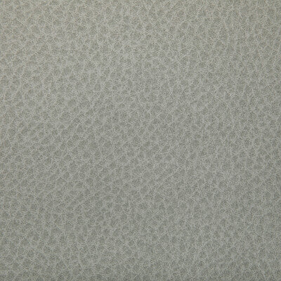 Kravet Contract - Upholstery - WOOLF.1101.0 - Upholstery - POLYURETHANE - 95%;SILICONE - 5% - Taiwan </p><p>Repeat: H: , V: 27.5 21 - My Fabric Connection -
