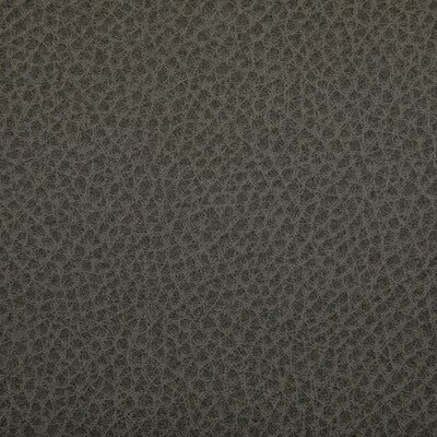 Kravet Contract - Upholstery - WOOLF.1121.0 - Upholstery - POLYURETHANE - 95%;SILICONE - 5% - Taiwan </p><p>Repeat: H: , V: 27.5 21 - My Fabric Connection -