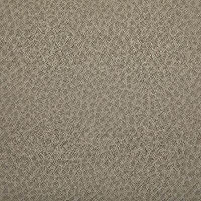 Kravet Contract - Upholstery - WOOLF.121.0 - Upholstery - POLYURETHANE - 95%;SILICONE - 5% - Taiwan </p><p>Repeat: H: , V: 27.5 21 - My Fabric Connection -