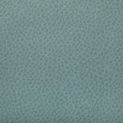 Kravet Contract - Upholstery - WOOLF.35.0 - Upholstery - POLYURETHANE - 95%;SILICONE - 5% - Taiwan </p><p>Repeat: H: , V: 27.5 21 - My Fabric Connection -