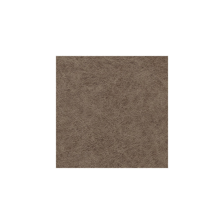 Enduring Bronco by Winfield Thybony Designer Wallcovering WINFIELD THYBONY PERFORMACE VINYL 17 VINYL - 100% United States - Horizontal: - and Vertical: - 54 - Swanky Fabrics -