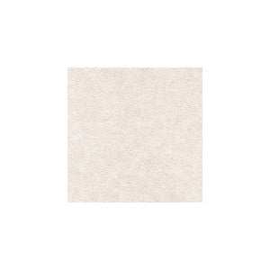 Enduring Desert by Winfield Thybony Designer Wallcovering