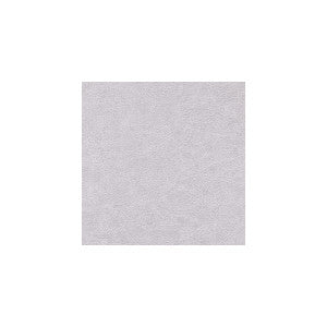 Enduring Brushed by Winfield Thybony Designer Wallcovering