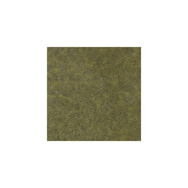 Enduring Alligator Skin by Winfield Thybony Wallcovering Winfield Thybony Wallcovering Enduring Alligator SkinWallcovering WINFIELD THYBONY PERFORMACE VINYL 17 VINYL - 100% United States </p><p>Repeat: H: , V: 54 - Fabric Carolina -