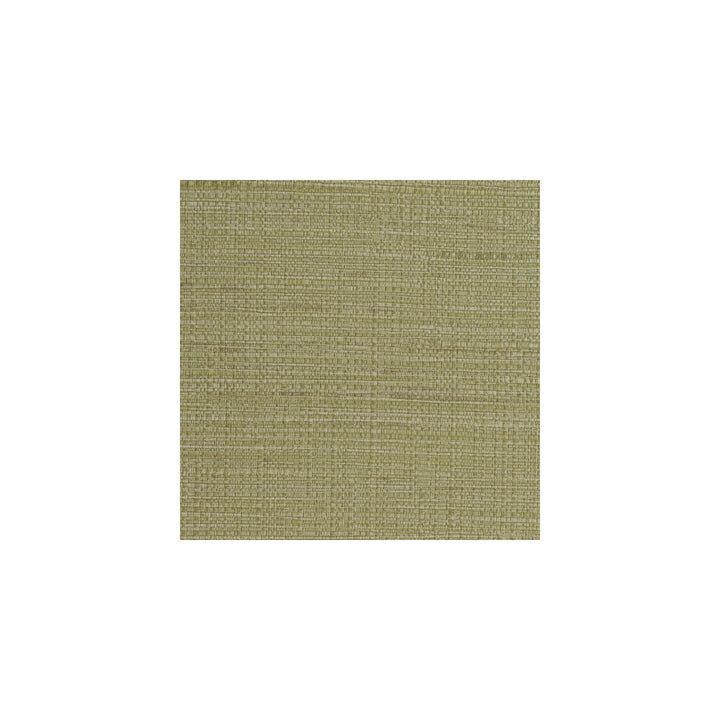 Bouquet Weave Olive by Winfield Thybony Designer Wallcovering WINFIELD THYBONY PERFORMACE VINYL - United States - Horizontal: - and Vertical: 0 54 - Swanky Fabrics -