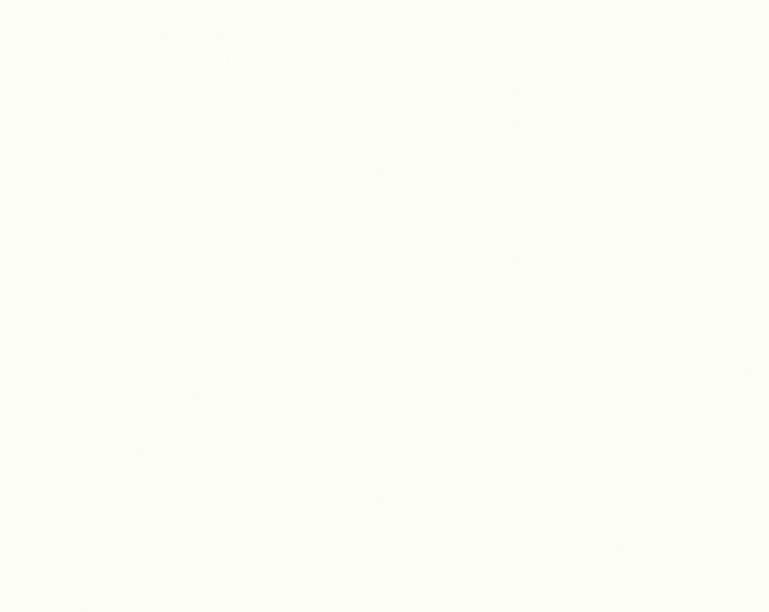 Sten Chalk White WSB05830312 by Sandberg Designer Wallpaper