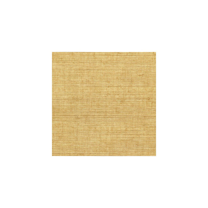 Sisal Brush by Winfield Thybony Designer Wallcovering WINFIELD THYBONY SIMPLY SISAL PAPER - 100% China - Horizontal: - and Vertical: - 36 - Swanky Fabrics -