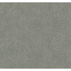 Ray Dusk by Winfield Thybony Designer Wallcovering