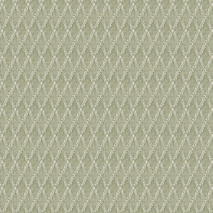Wynnewood 2 Grass by Stout Fabric Stout Fabric Wynnewood 2 GrassFabric RAINBOW LIBRARY PEAR/JUNGLE 33%COT 19%SVI 17%POL 31%ACR USA </p><p>Repeat: H: 0.000, V: 0.000 54 in - Fabric Carolina -