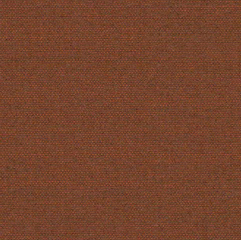 SJA 3996 137 Solids Walnut