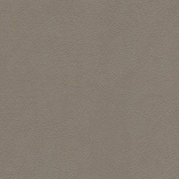 Whisper Fawn 1009253 by Spradling Designer Fabric See sample 100% Vinyl USA or Imported Water-based cleaning agents and foam may be used for cleaning. Cleaning by a professional cleaning service is recommended.  54  - Swanky Fabrics -