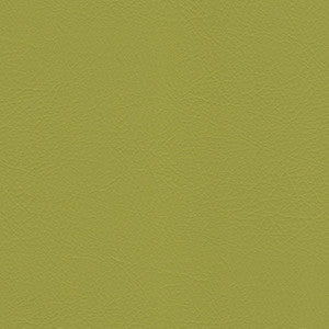 Whisper Sassafras by Spradling Designer Fabric