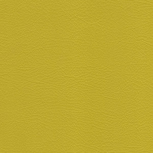 Whisper Zest by Spradling Designer Fabric