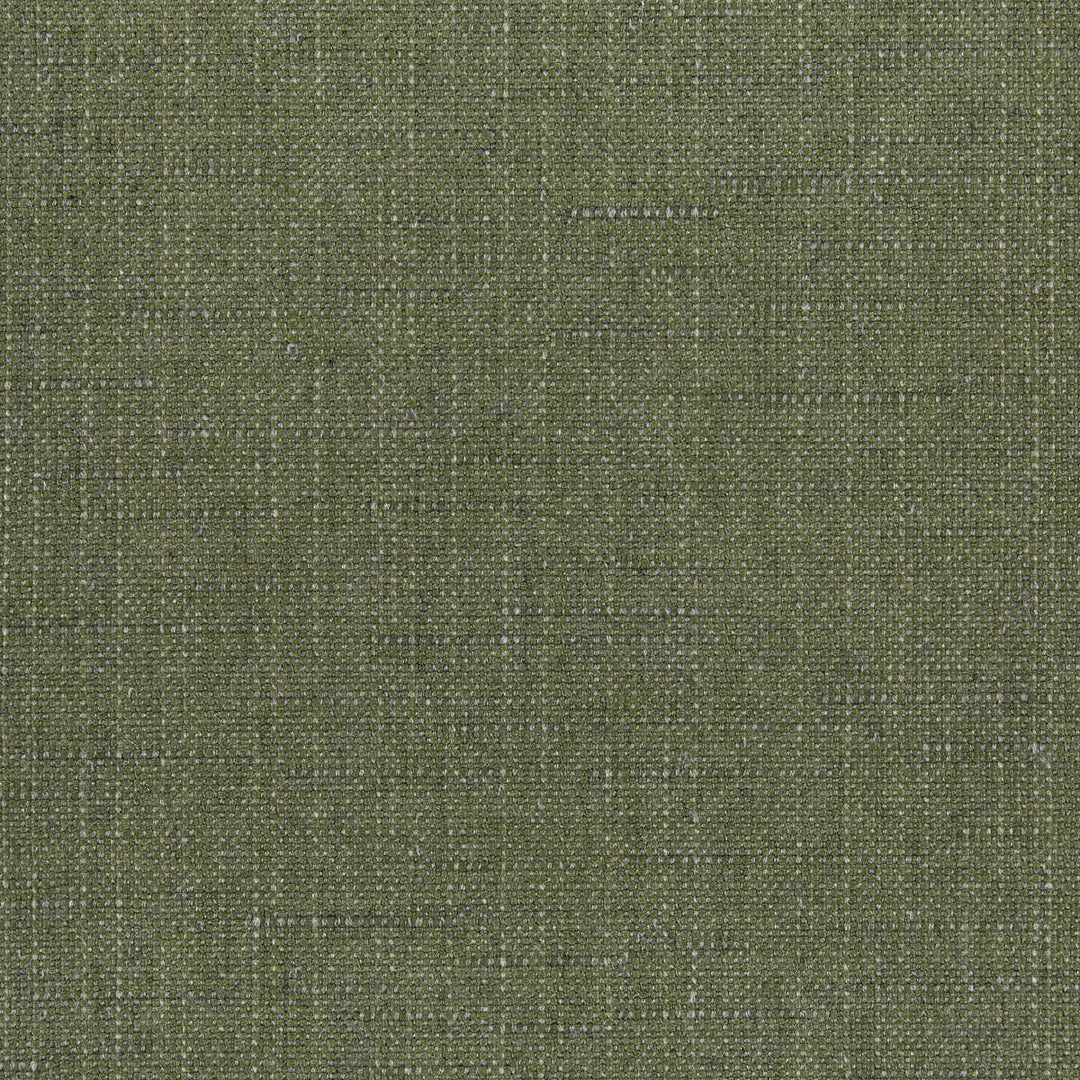 146465-0035 Willa Frond by Sunbrella Fabric