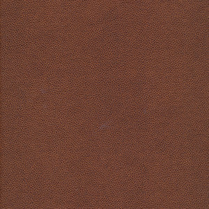 Yucatan-Nj # 795 Pinecone by Maxwell Designer Fabric