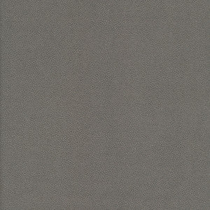 Yucatan-Nj # 806 Aluminum by Maxwell Designer Fabric