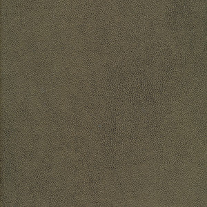 Yucatan-Nj # 810 Brush by Maxwell Designer Fabric