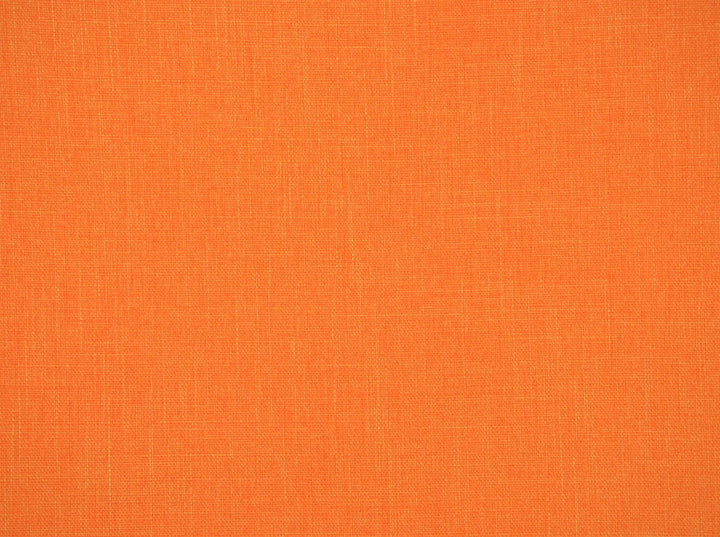 York Mimosa 887 by Covington Designer Fabric 100% POLYESTER TAI 50000 Horizontal: 0 and Vertical: 0 56 - Swanky Fabrics -