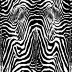 Zena Black 01 by Norbar Designer Fabric EXOTIC 95% POLYESTER 5% COTTON SPAIN 55"V 36"H 55 - Swanky Fabrics -