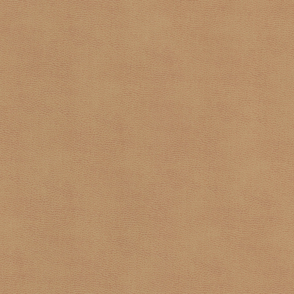 Ziemba 1 Lion by Stout Designer Fabric LEATHER LOOKS V 100%POU 1%OTH KOREA Horizontal: 0.000 and Vertical: 0.000 54 in - Swanky Fabrics -