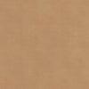 Ziemba 1 Lion by Stout Designer Fabric