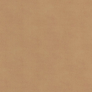 Ziemba 1 Lion by Stout Designer Fabric